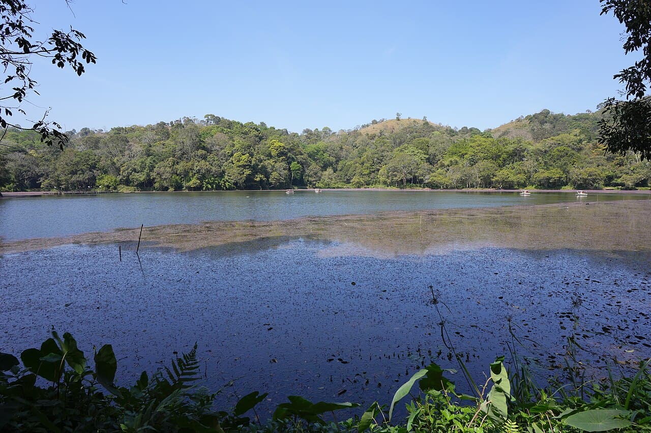 Pookode Lake surrounded by forested hills