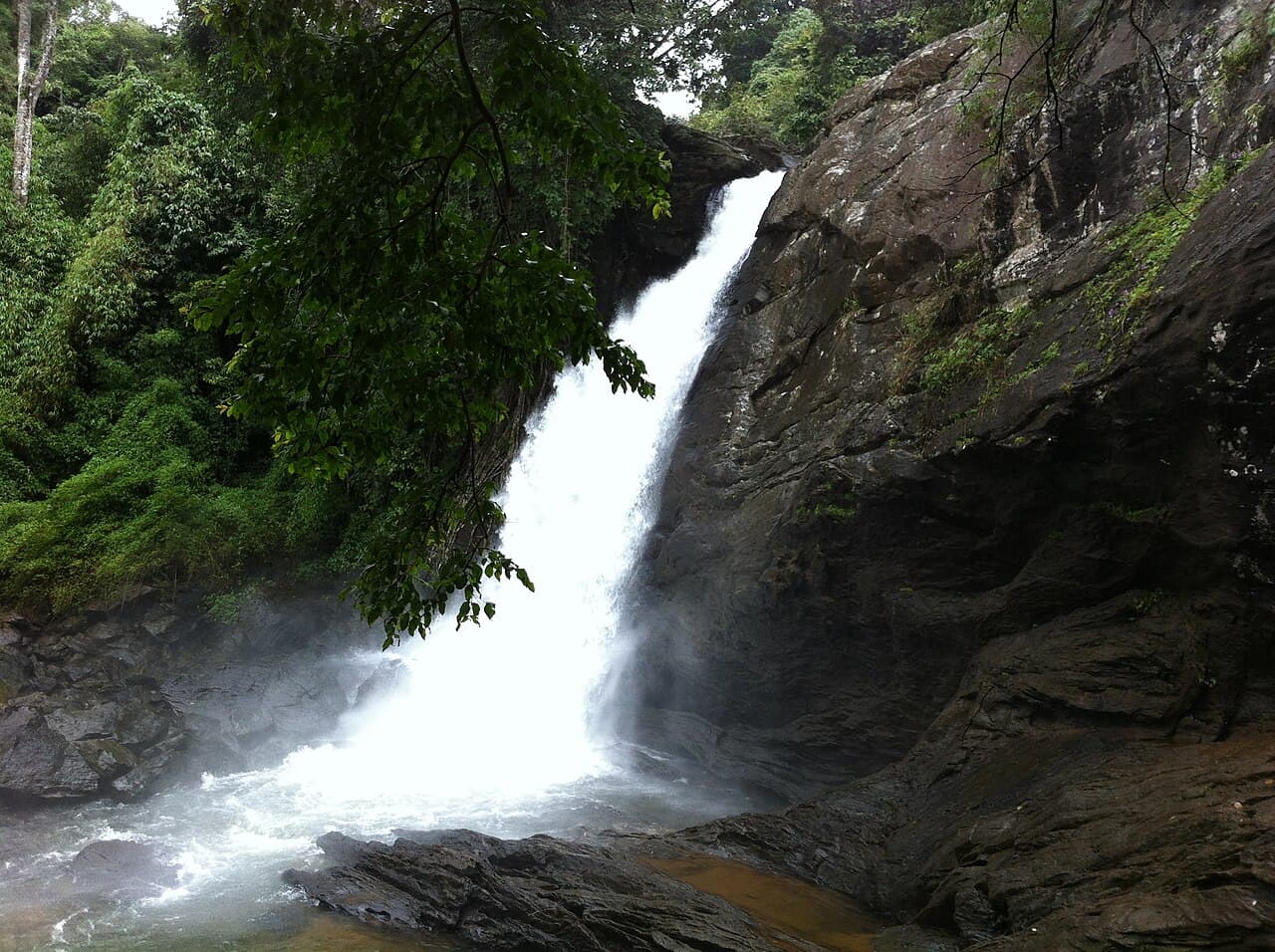 Soochipara Falls cascading between forest and dark rock